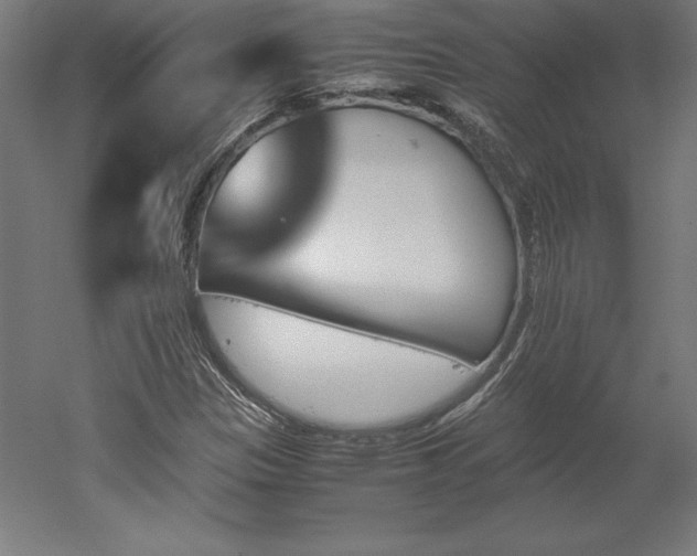 X0000051911305200507011523