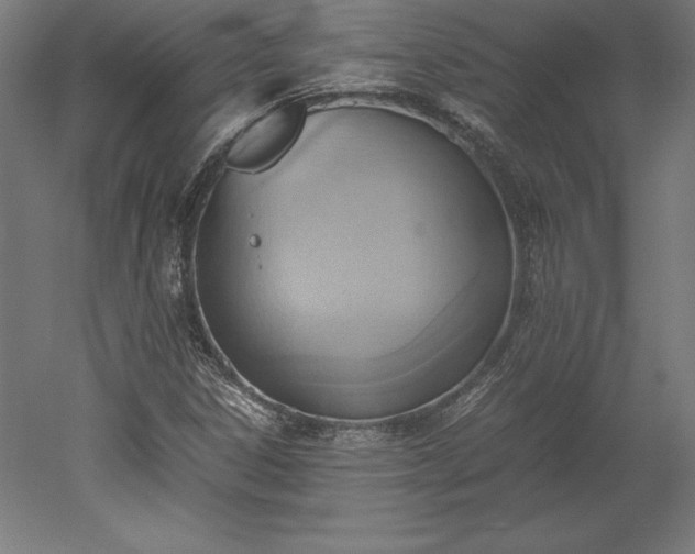 X0000051911306200507011523