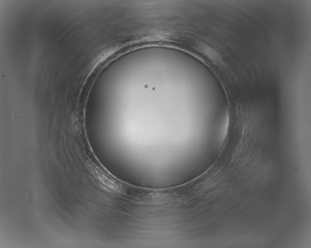 X0000051911308200507011523