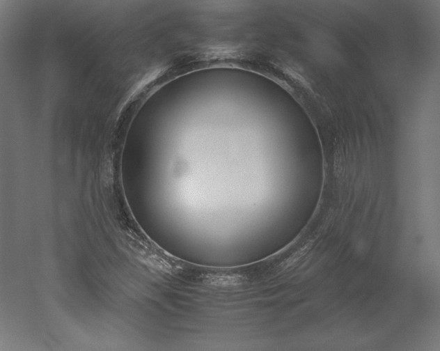 X0000051911309200507011523