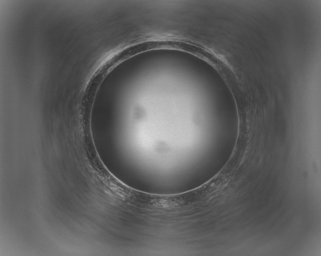 X0000051911311200507011523