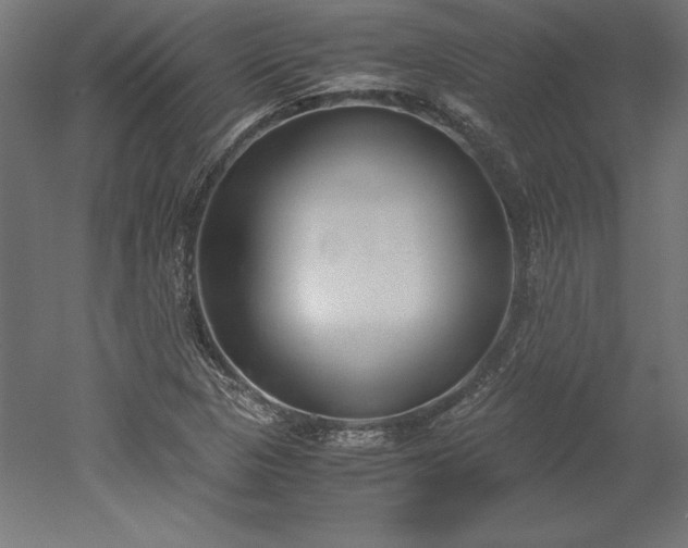 X0000051911313200507011523