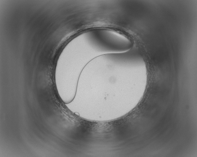 X0000051911314200507011523