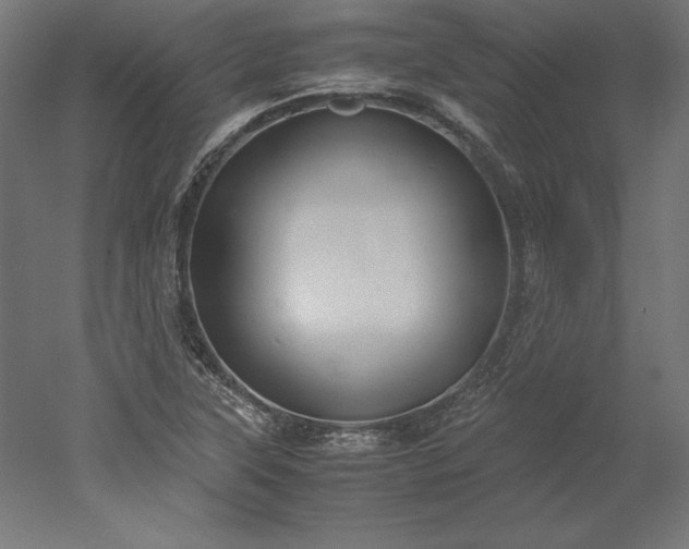 X0000051911315200507011523