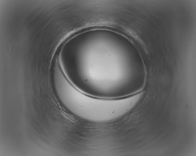 X0000051911316200507011523