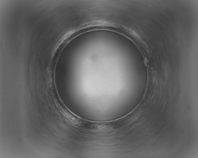 X0000051911318200507011523