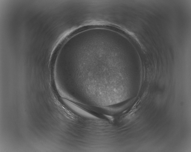 X0000051911319200507011523