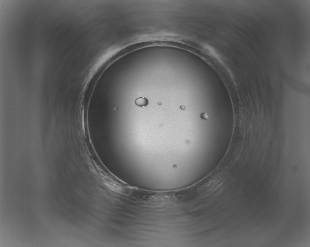 X0000051911320200507011523