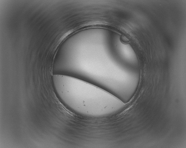 X0000051911321200507011523