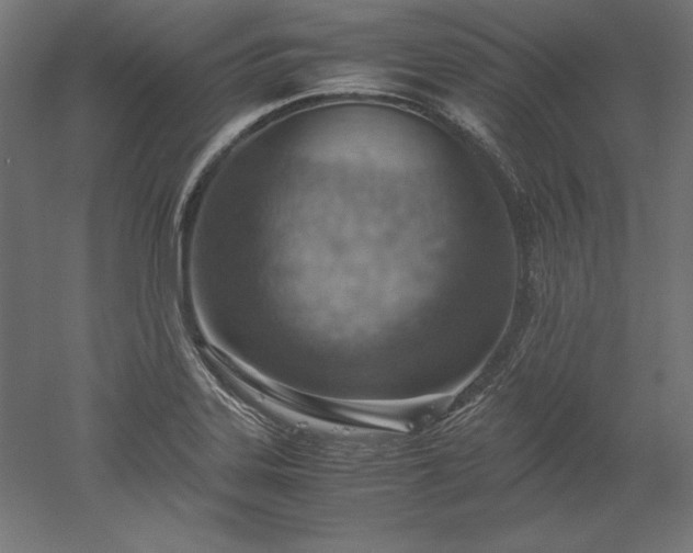 X0000051911323200507011523