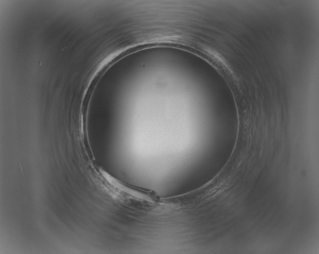 X0000051911324200507011523