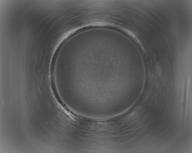 X0000051911327200507011523