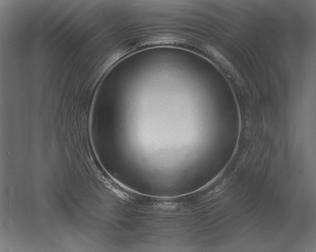 X0000051911329200507011523