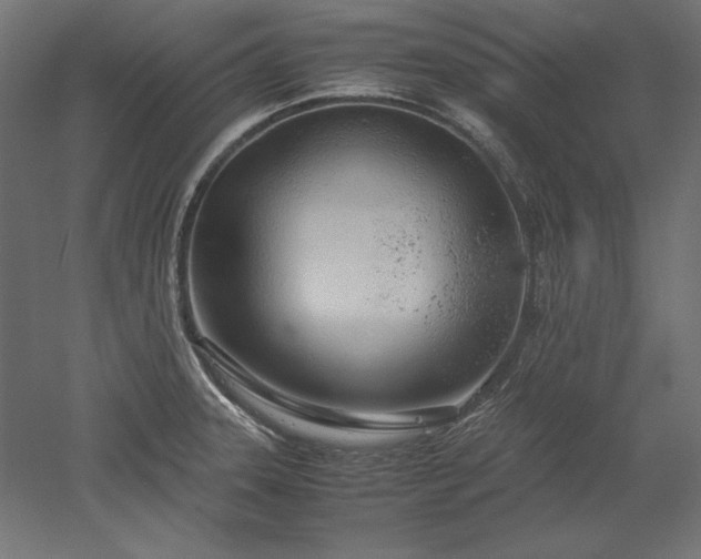 X0000051911331200507011523