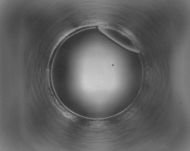 X0000051911332200507011523