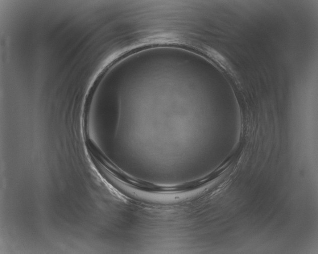 X0000051911334200507011523