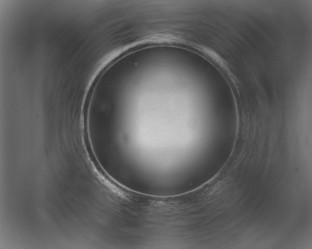 X0000051911335200507011523