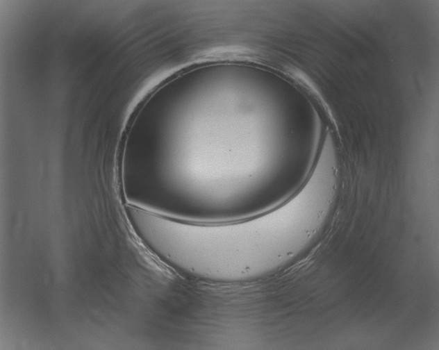 X0000051911336200507011523