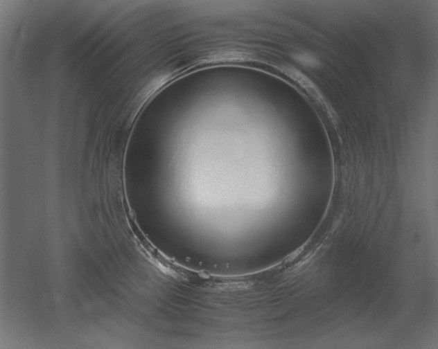 X0000051911337200507011523