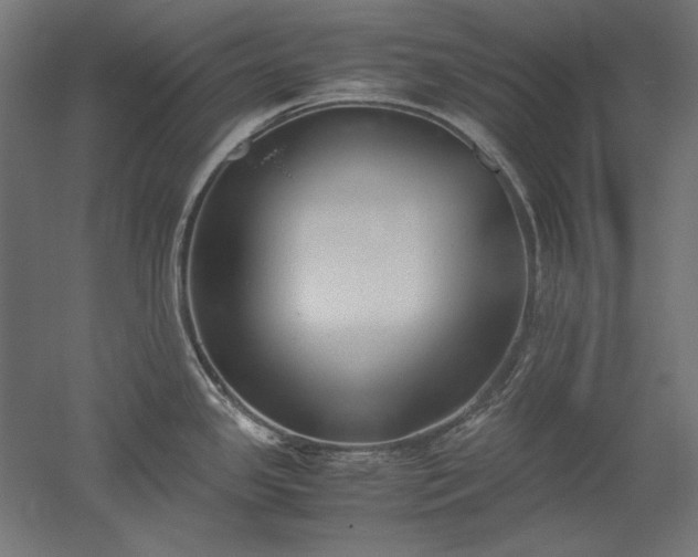 X0000051911341200507011523