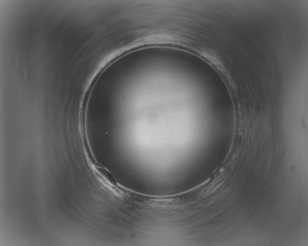 X0000051911342200507011523