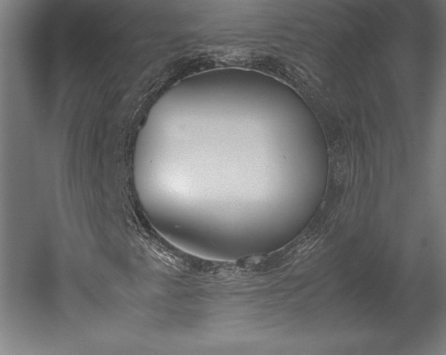 X0000051911345200507011523