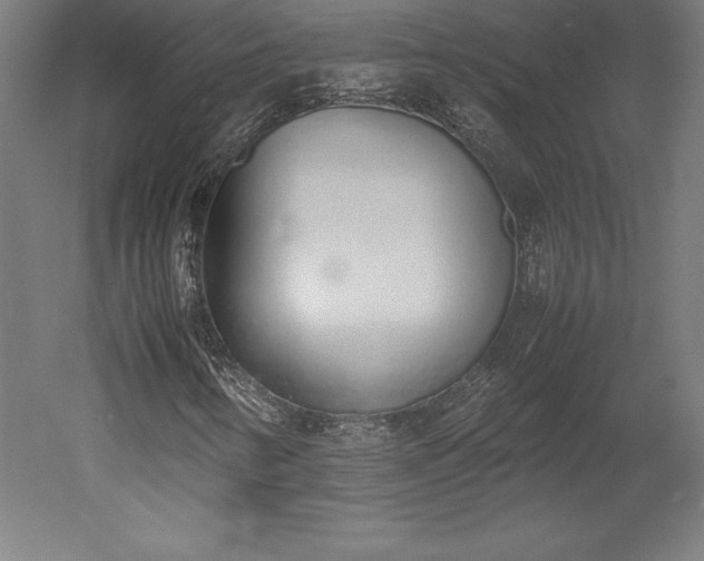 X0000051911346200507011523