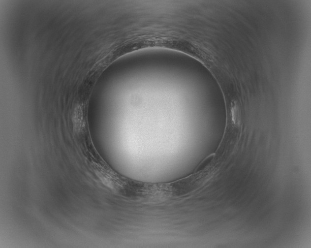 X0000051911347200507011523