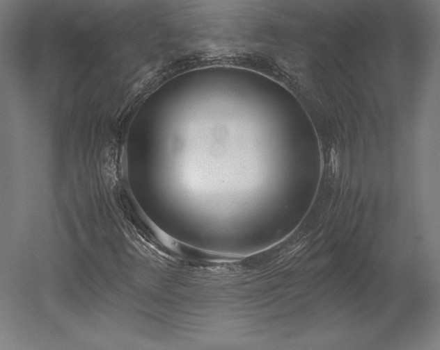 X0000051911348200507011523