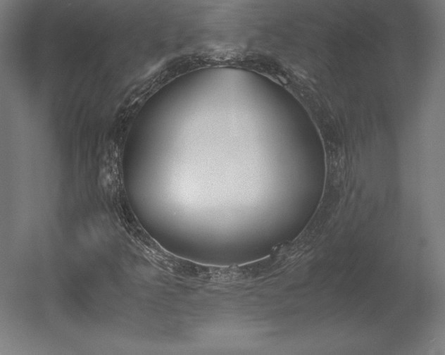 X0000051911349200507011523