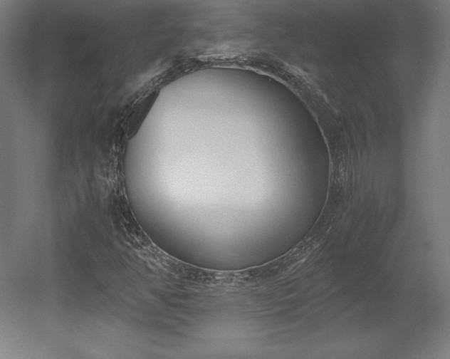 X0000051911350200507011523