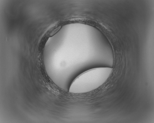 X0000051911351200507011523