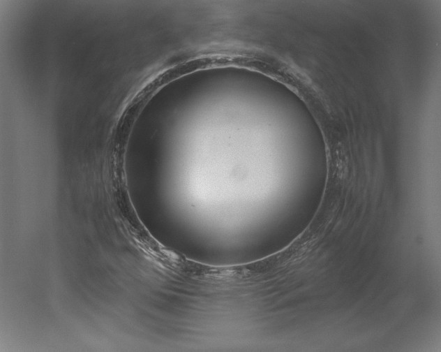 X0000051911352200507011523