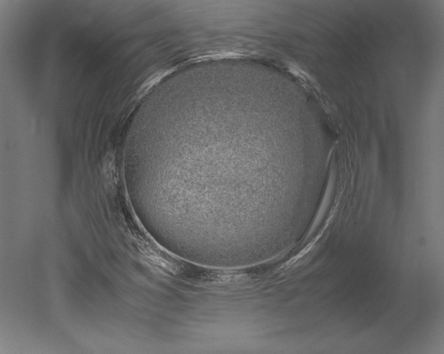 X0000051911353200507011523