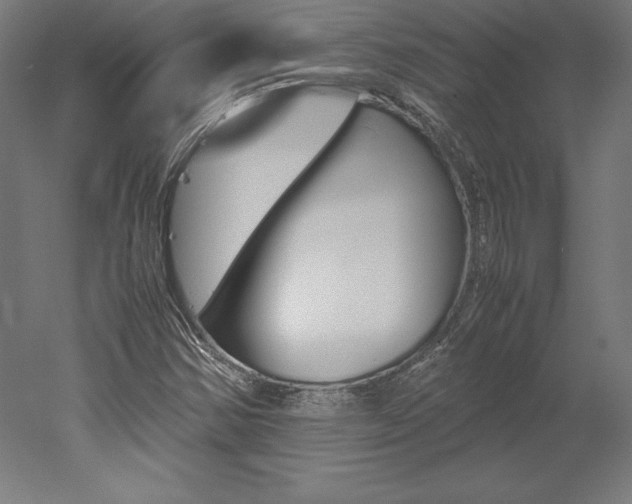 X0000051911354200507011523