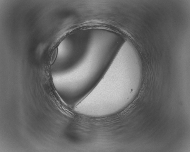 X0000051911355200507011523