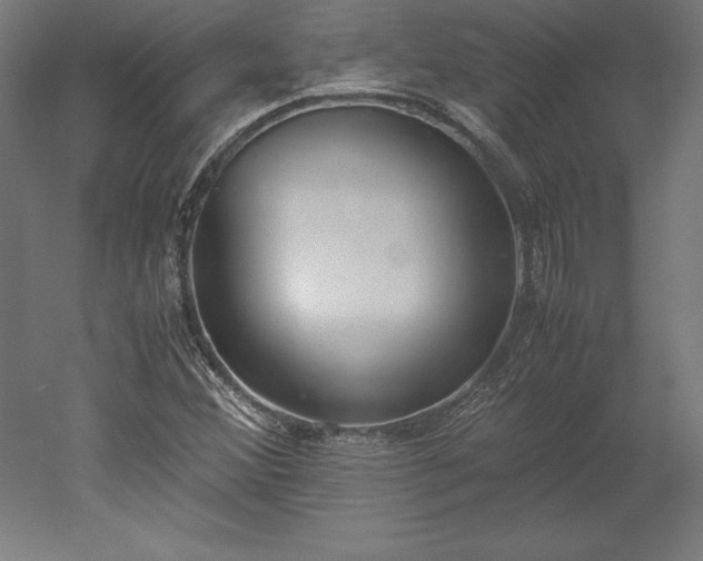 X0000051911356200507011523