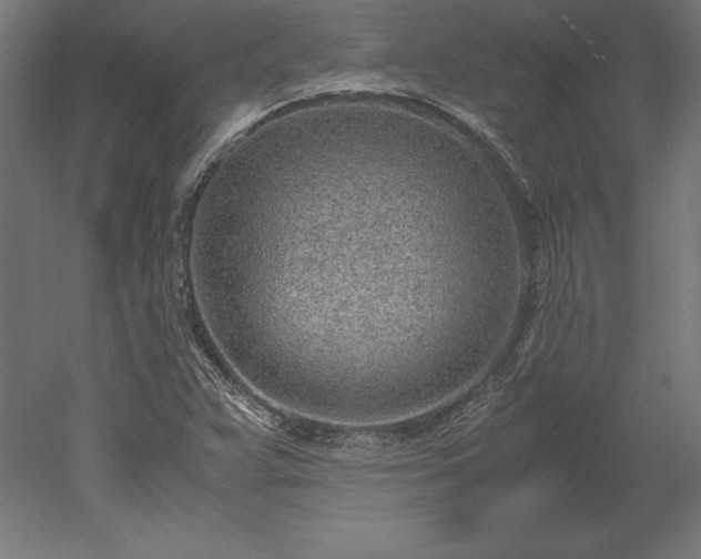 X0000051911359200507011522