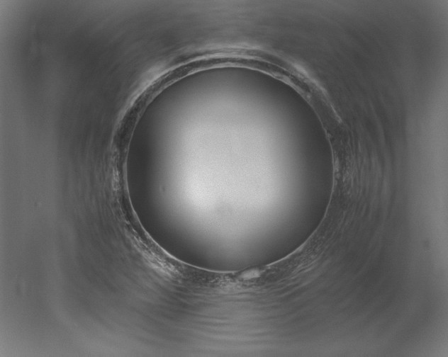 X0000051911360200507011522