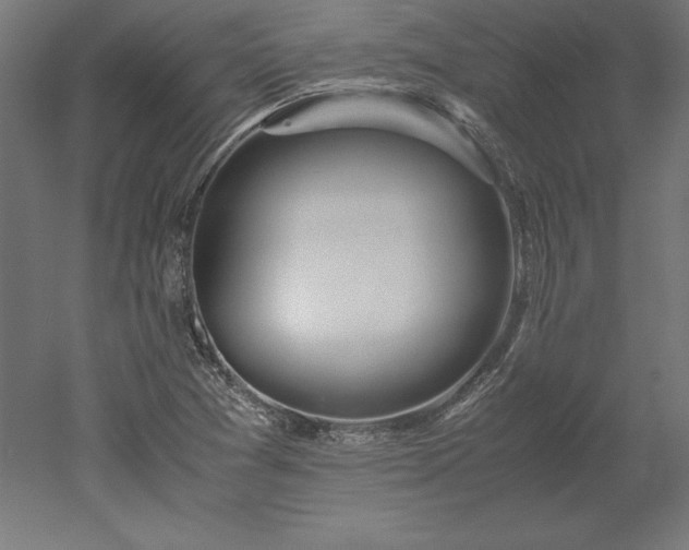 X0000051911361200507011522