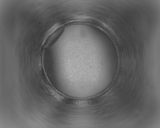 X0000051911362200507011522