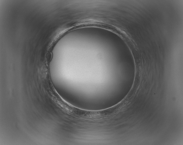 X0000051911363200507011522