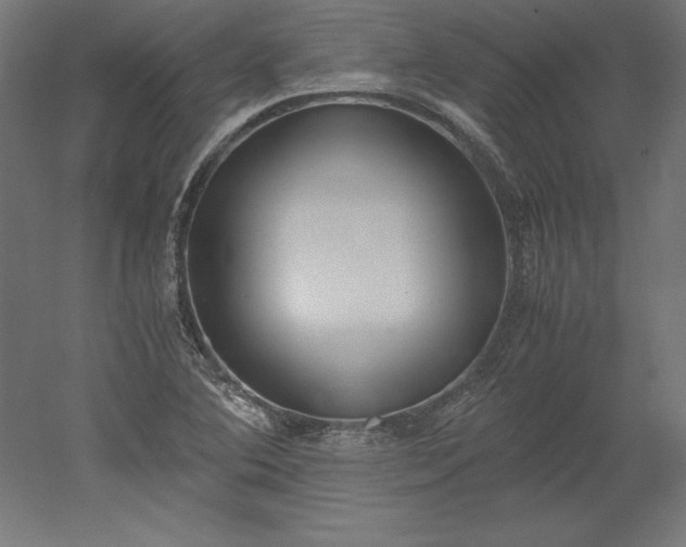 X0000051911364200507011522