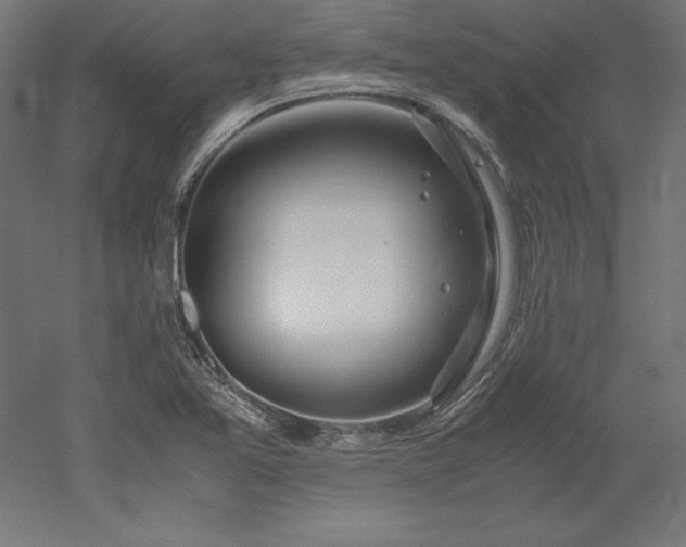 X0000051911365200507011522