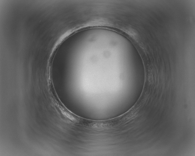 X0000051911366200507011522