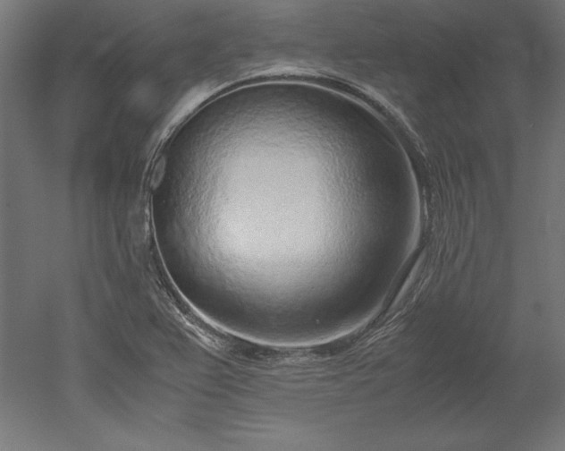 X0000051911367200507011522