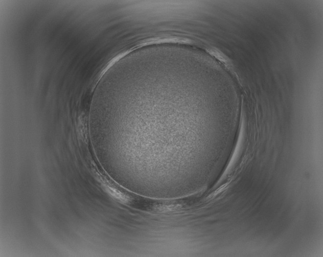 X0000051911369200507011522