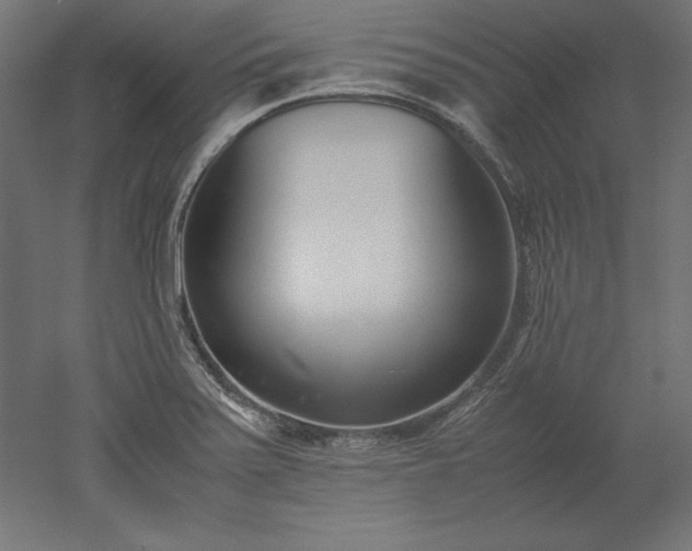 X0000051911371200507011522