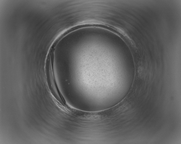 X0000051911372200507011522