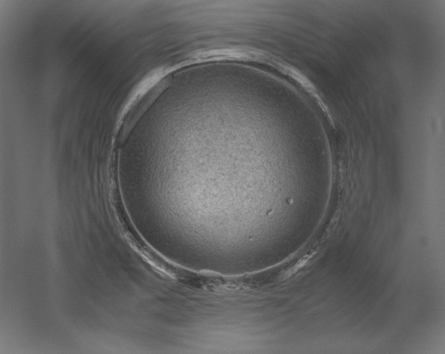 X0000051911373200507011522